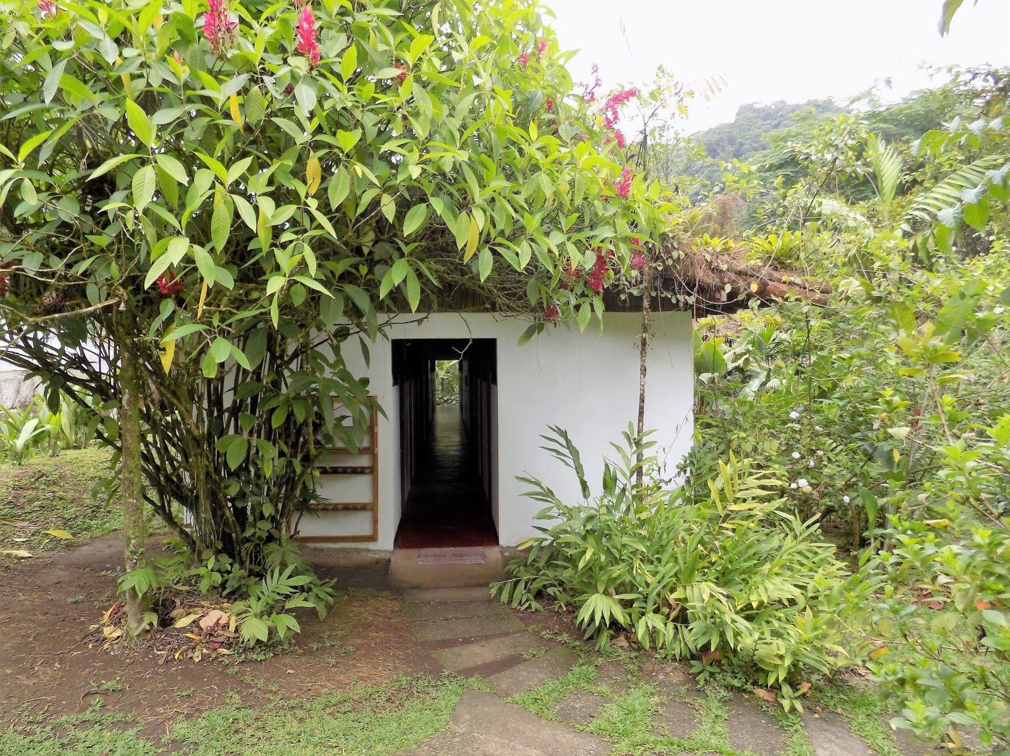 Rancho Margot Sustainable & Self Sufficient Eco Lodge El Castillo Exterior photo