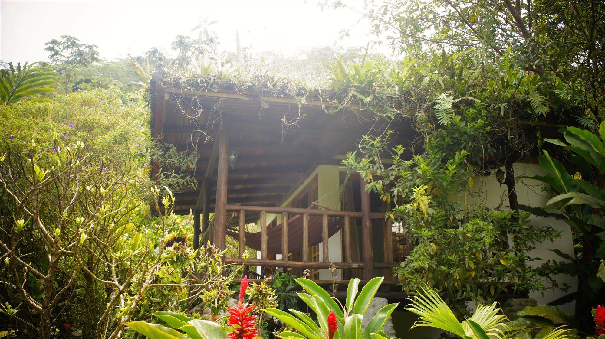 Rancho Margot Sustainable & Self Sufficient Eco Lodge El Castillo Exterior photo